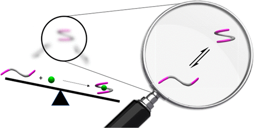 Revealing the hidden costs of organization in host-guest chemistry using chloride-binding foldamers and their solvent dependence